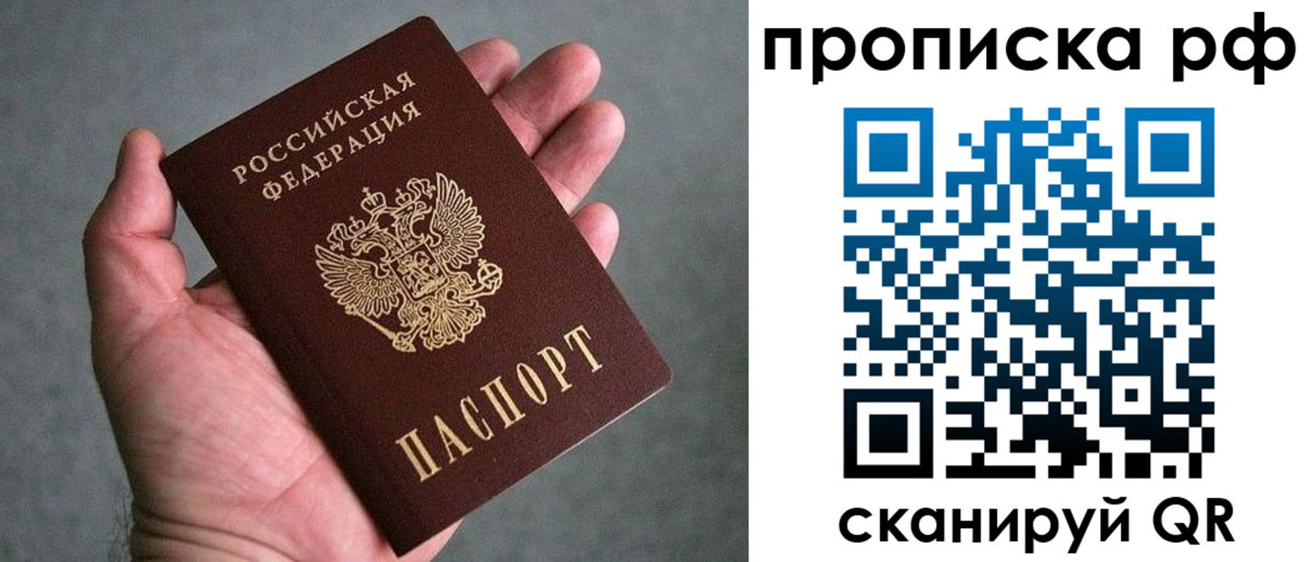 прописка поиск в Тихорецке